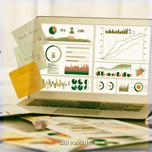 گروه مشهور شو نگهداری ماهانه و دوره‌ ای سایت با گزارش کامل